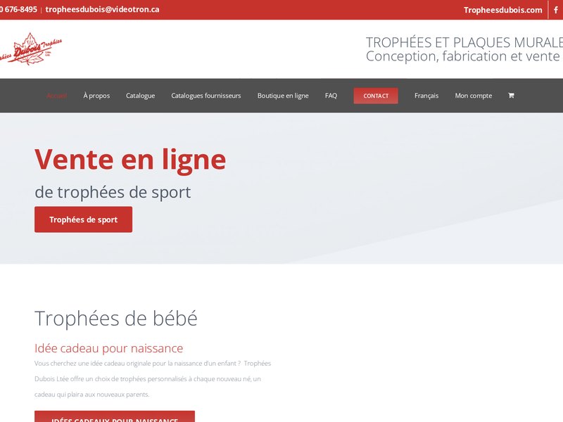 Page d'accueil du site web de Trophées Dubois